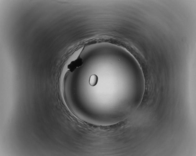 X0000114130773200910081244