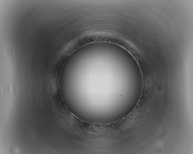 X0000114130774200910081244