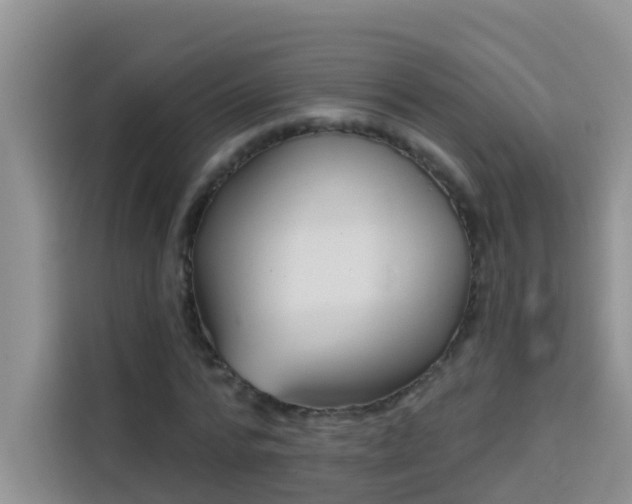 X0000114130776200910081243