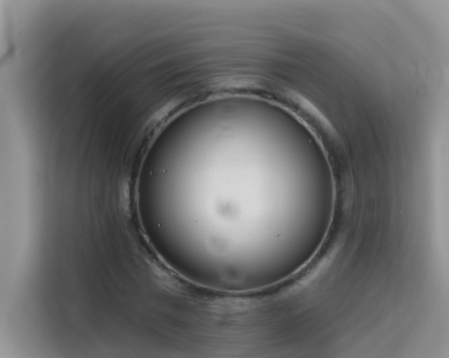 X0000114130777200910081243