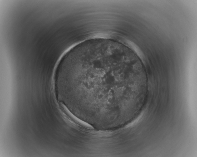 X0000114130779200910081243