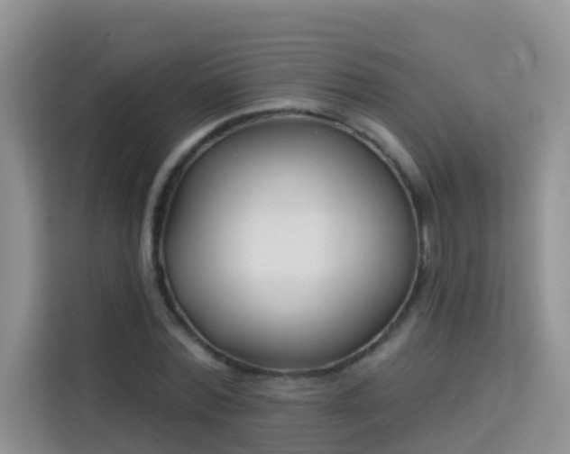 X0000114130780200910081243