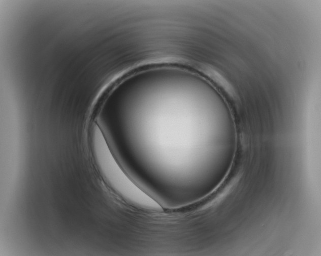 X0000114130781200910081243
