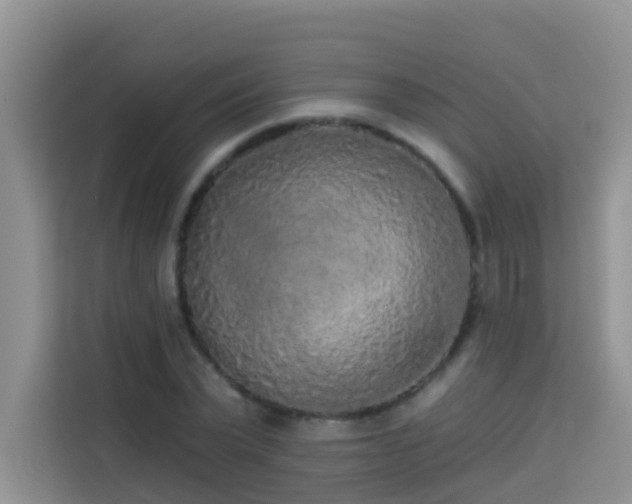 X0000114130783200910081243