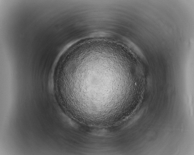 X0000114130784200910081243