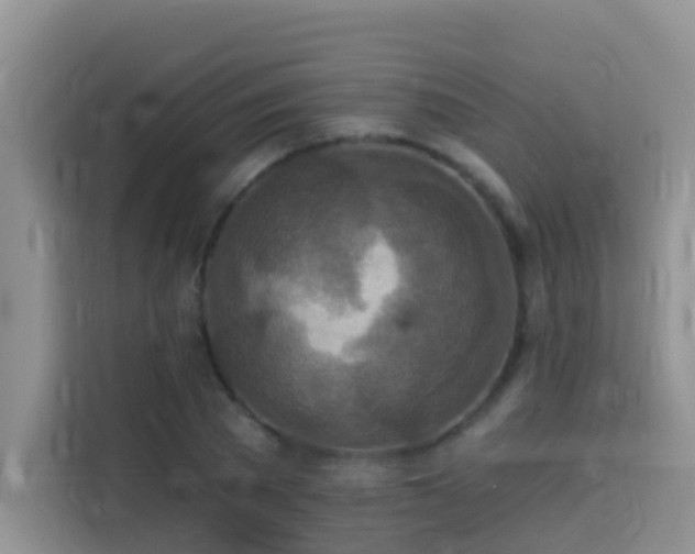 X0000114130785200910081243