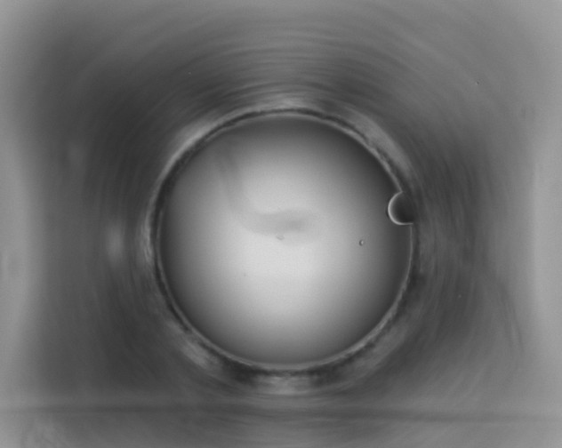 X0000114130789200910081243