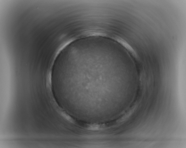X0000114130790200910081243