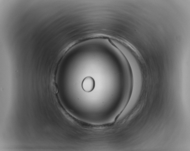 X0000114130793200910081243