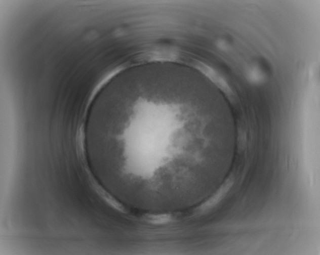X0000114130798200910081243