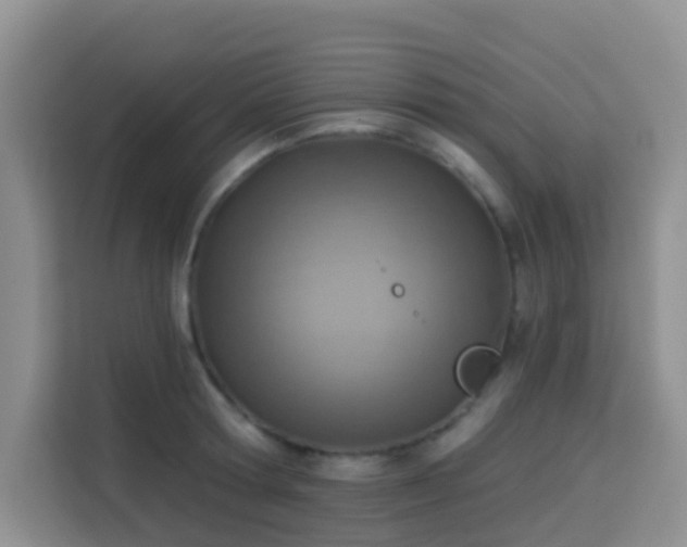 X0000114130802200910081243