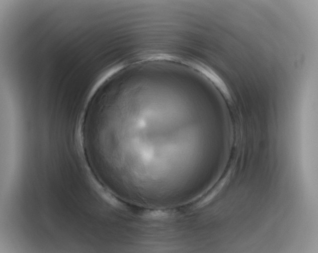X0000114130806200910081243