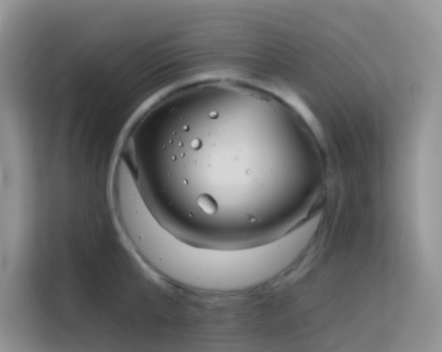 X0000114130807200910081243