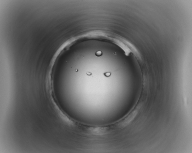 X0000114130808200910081243