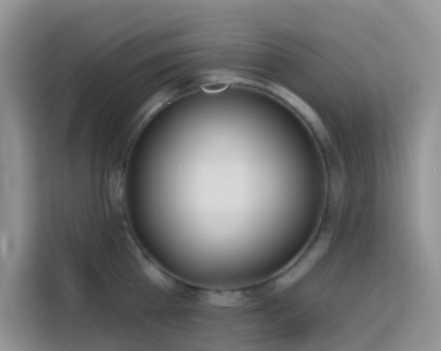 X0000114130809200910081243