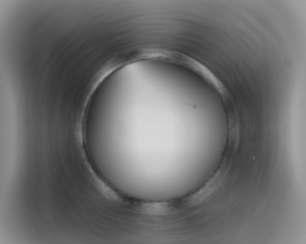 X0000114130810200910081243
