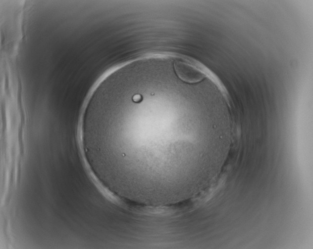 X0000114130811200910081243