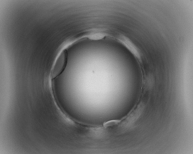 X0000114130813200910081243