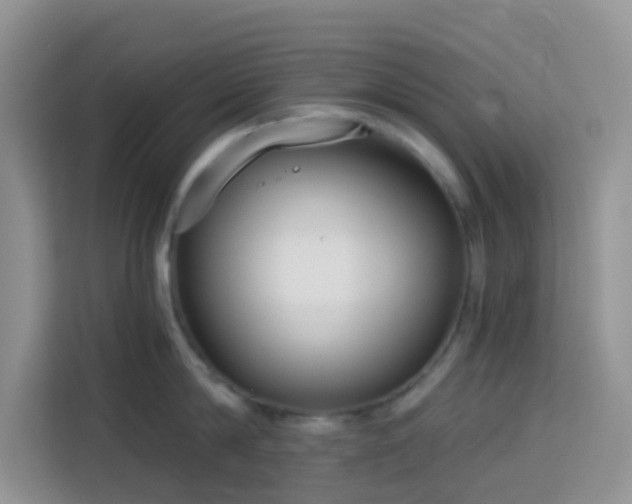 X0000114130814200910081243