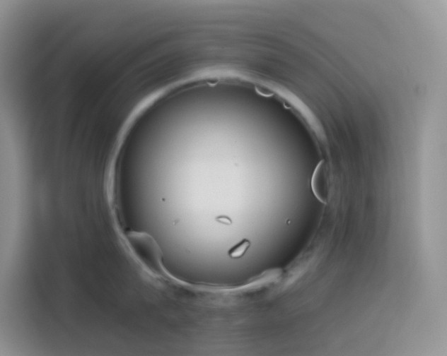 X0000114130815200910081243