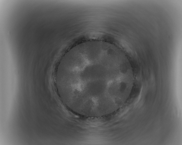 X0000114130817200910081242