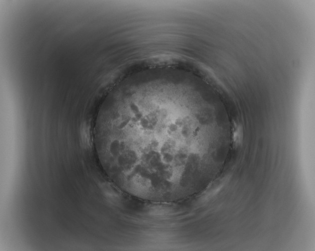 X0000114130819200910081242