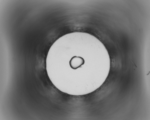 X0000114130820200910081242
