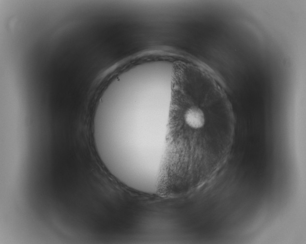 X0000114130822200910081242