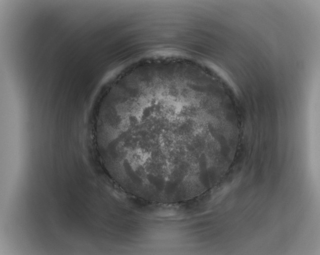X0000114130823200910081242