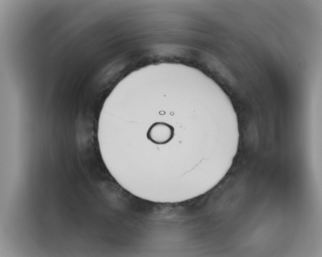 X0000114130824200910081242