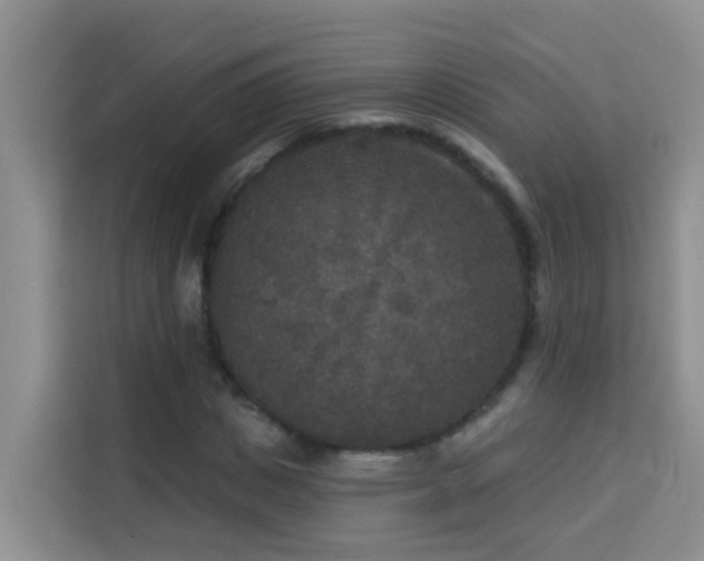 X0000114130825200910081242