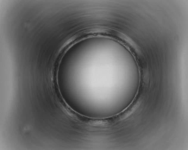 X0000114130826200910081242