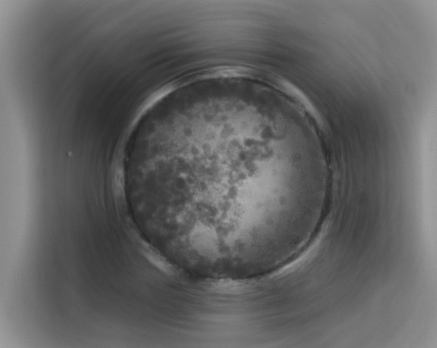 X0000114130827200910081242