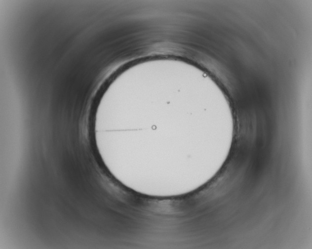 X0000114130828200910081242