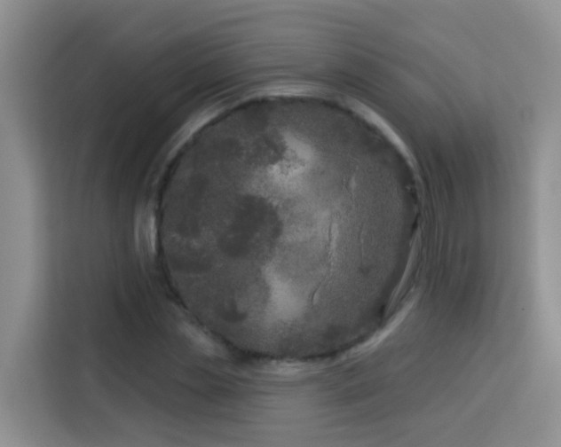 X0000114130829200910081242