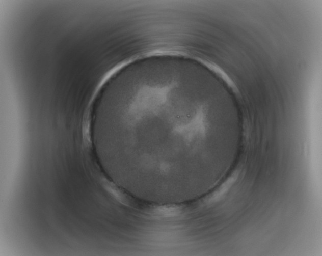 X0000114130830200910081242