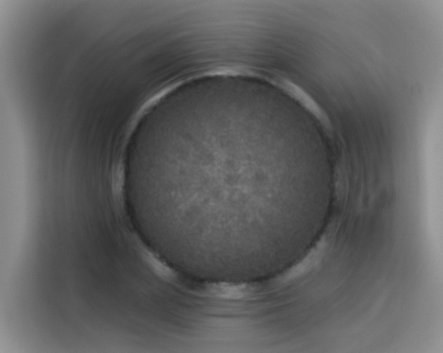 X0000114130831200910081242