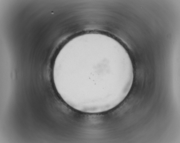 X0000114130832200910081242