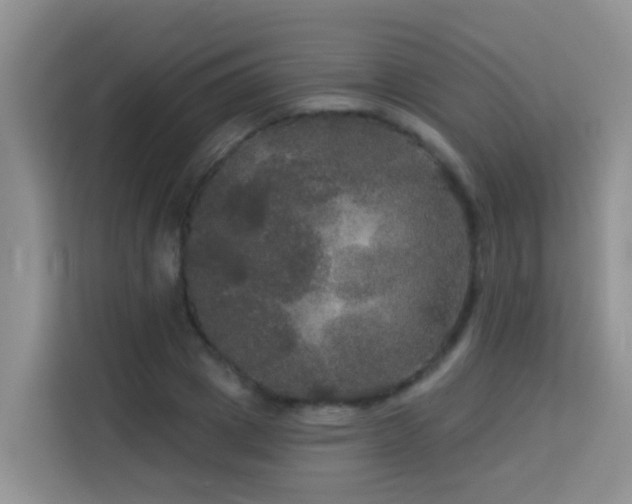 X0000114130833200910081242