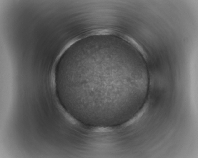 X0000114130835200910081242
