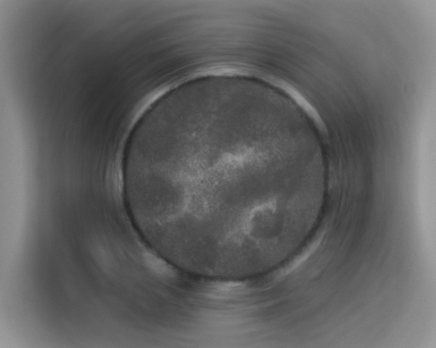 X0000114130837200910081242