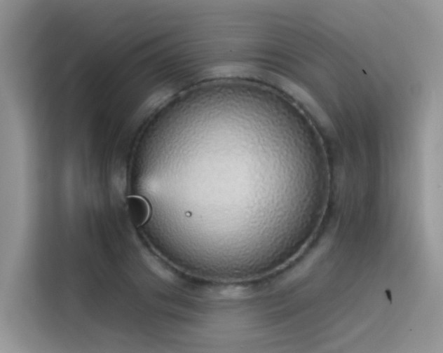 X0000114130841200910081242