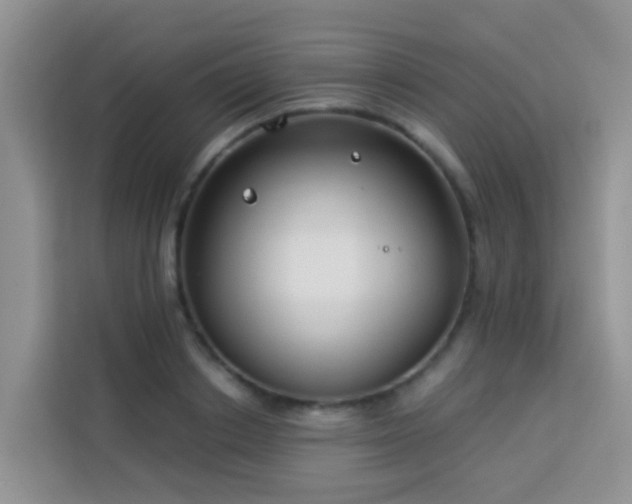 X0000114130842200910081243