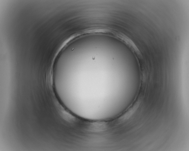 X0000114130844200910081243