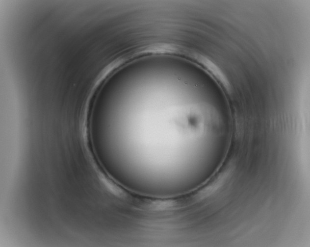 X0000114130845200910081243