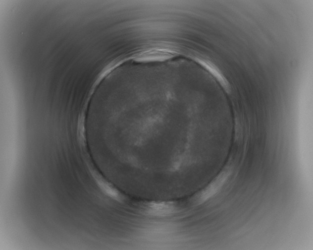 X0000114130850200910081243