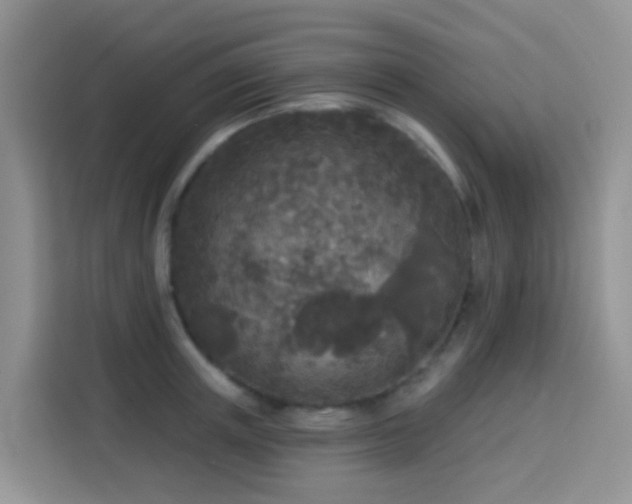 X0000114130851200910081243