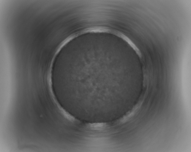 X0000114130853200910081243