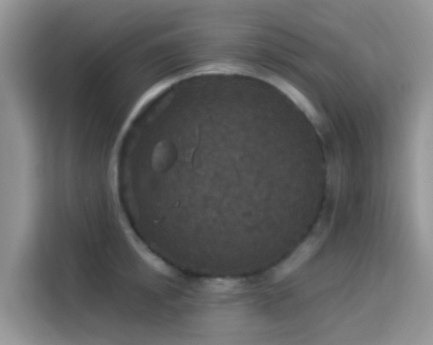 X0000114130854200910081243