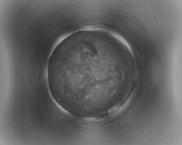 X0000114130855200910081243